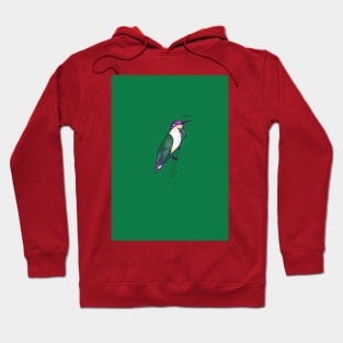 Hmmming Bird Hoodie